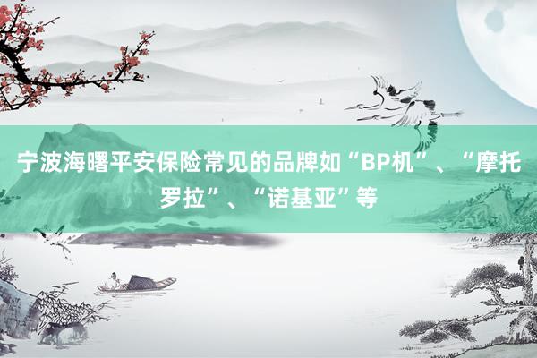宁波海曙平安保险常见的品牌如“BP机”、“摩托罗拉”、“诺基亚”等